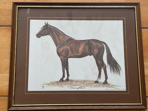 Vintage framed thoroughbred - vintage,