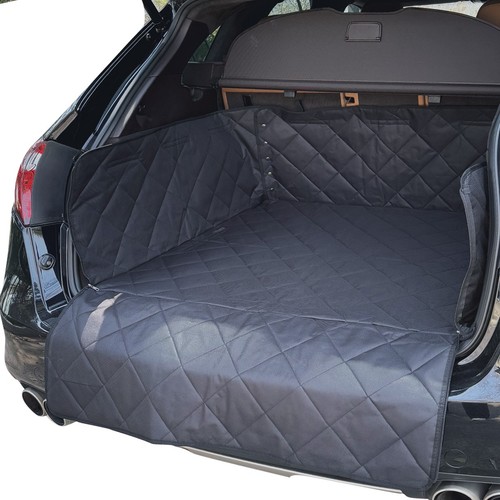 For jaguar pace heavy - jaguar,
