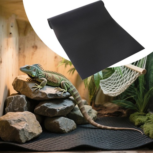 Reptile carpet mat - reptile, for