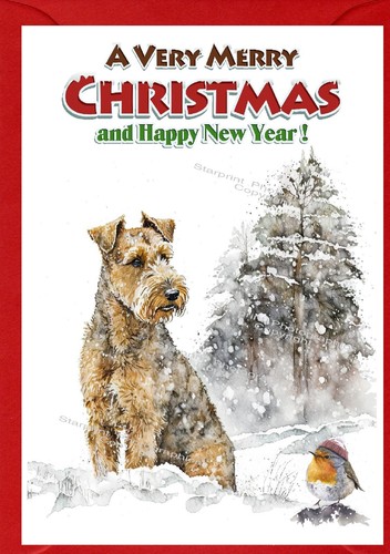 Lakeland terrier dog - (4", x