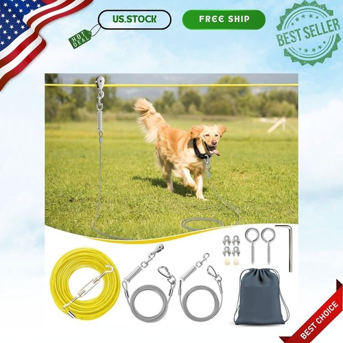 Professional dog runner - dog,