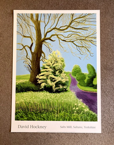 David hockney the - arrival, of