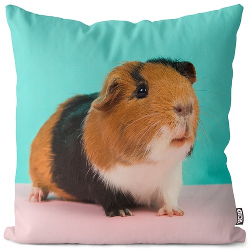 Guinea pig pink cushion - guinea,