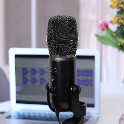 Microphone head replace grille - head,