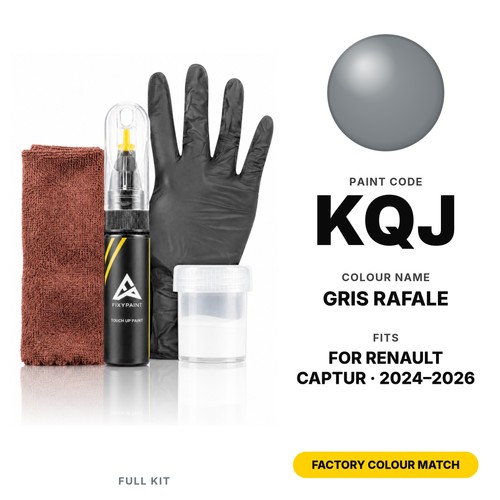 Touch paint for renault - up,