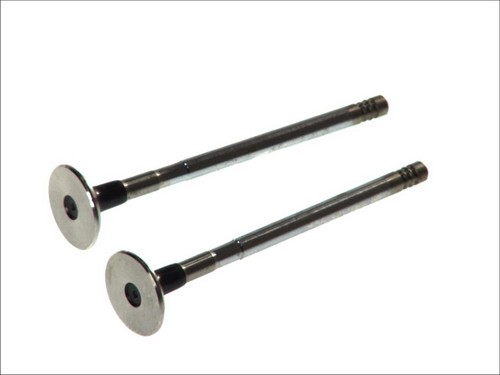 Exhaust valve 6196 - ,