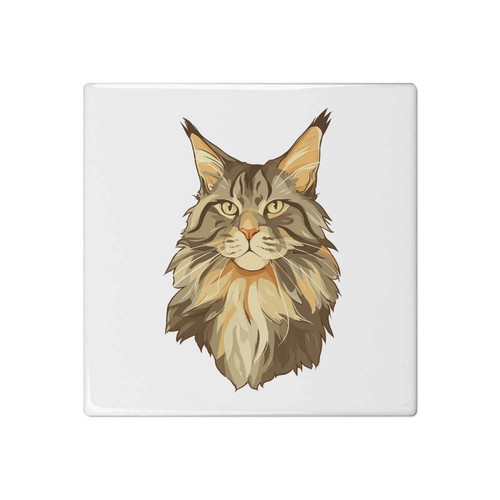 Maine coon cat portrait - 'maine, portrait'