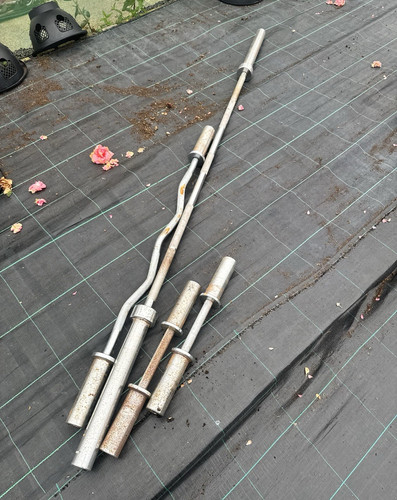 Olympic curl bar straight - ez,