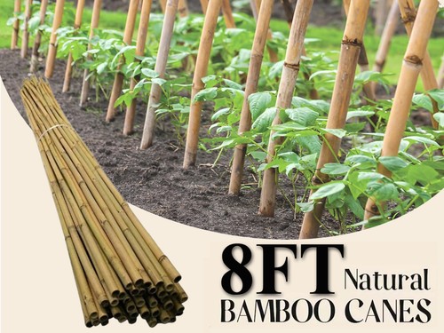8ft professional heavy duty - 8ft,