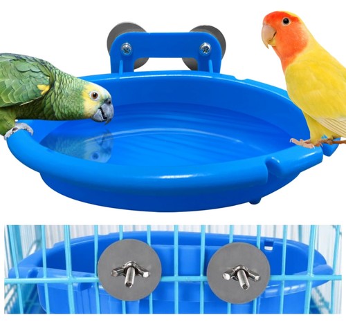 Bird bath for - bath,