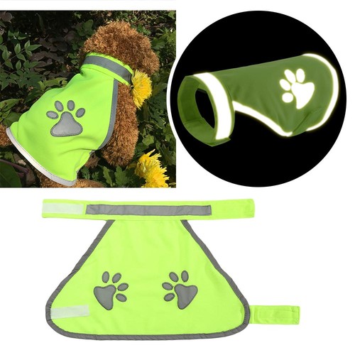 Dog paw pet - dog, coat
