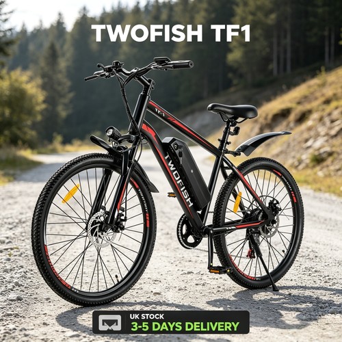 City electric bicycle 250w - electric,