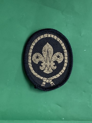 Vintage boy scout - scout, memorabilia