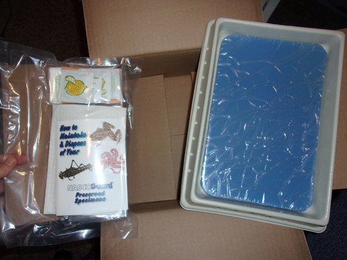 Bob jones bju dissection kit - jones,