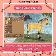 Wild Horse Islands - Marwari