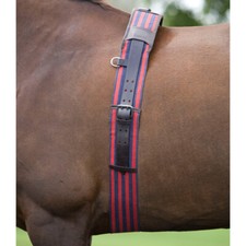 SHIRES LEATHER & WEBBING LUNGE
