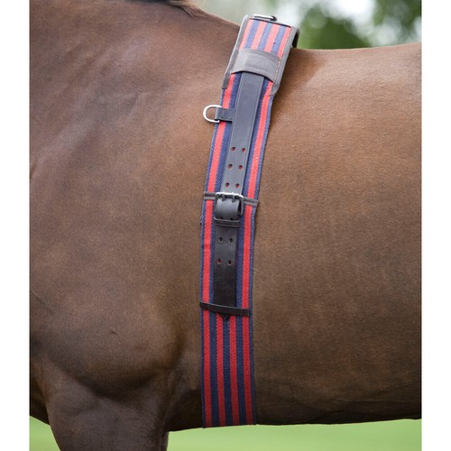 Shires leather webbing lunge - shires,