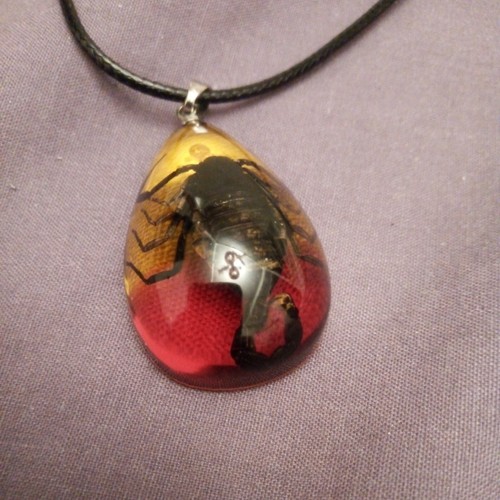 Natural rare black - , scorpion