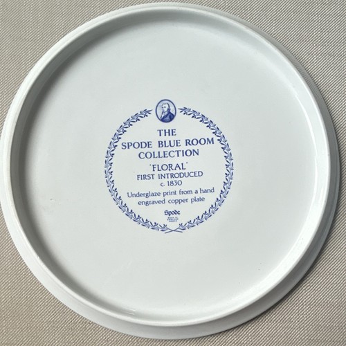 Paragon bone china - bone, blue