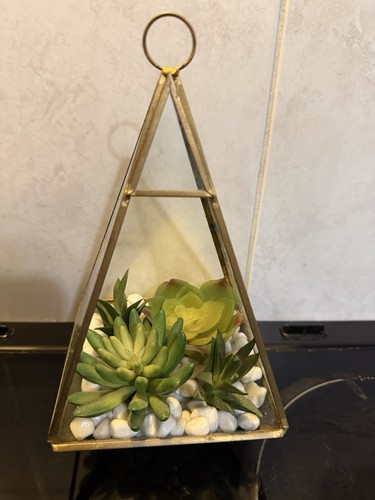 Geometric hanging terrarium - geometric,