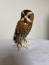 Karl Ens Bird Collection