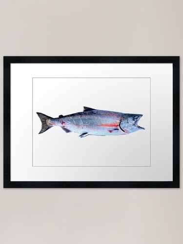 Salmon framed art - salmon,