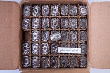 IN-12B Nixie Tubes NEW TESTED