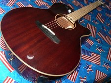 Tanglewood Winterleaf TW4