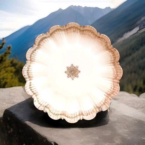 Antique vtg bone china - vtg,