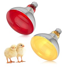 PAR 38 250W HEAT LAMP PACK 1 X