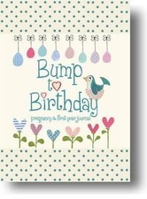 Bump To Birthday, Pregnancy & First Year Journal (parent & Child) Helen