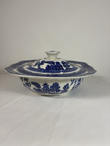 Vintage old willow - vintage,