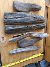 Unique Medium Driftwood Pieces