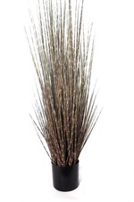 Home Office Décor Zebra Grass