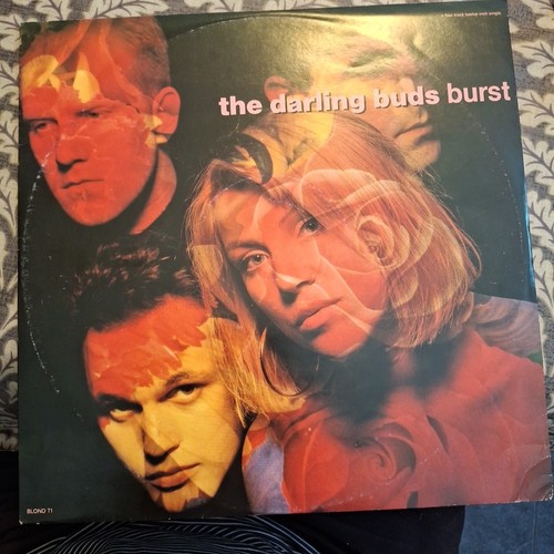 The darling buds burst vinyl - "burst",