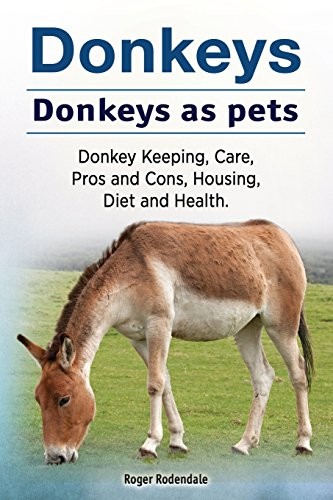 Donkeys pets - donkeys., as