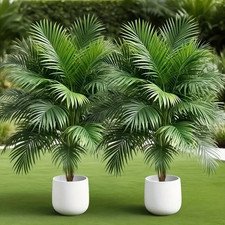 2PCS Artificial Palm Tree