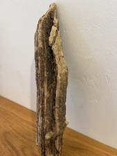 27cm WEATHERED CHARACTER DRIFTWOOD Sea Wood Log Fairy Garden Display Florist