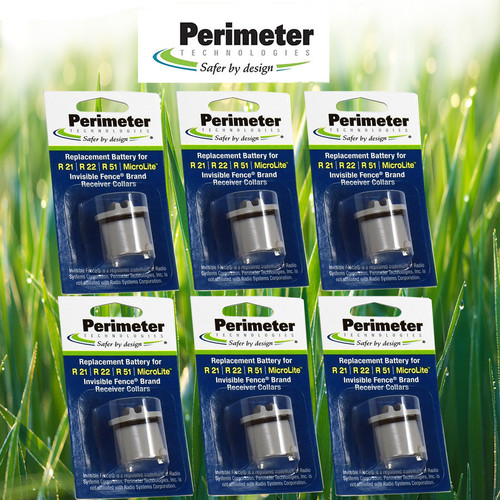 Perimeter ifa 001 dog - perimeter, collar
