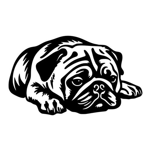 Sleeping pug dog puppy - sleeping,