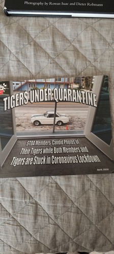 Sunbeam tiger tigers - tigers, under