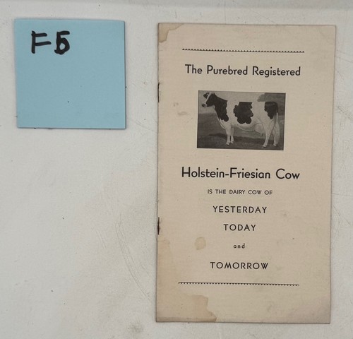 1946 holstein friesian cow - holstein-friesian,