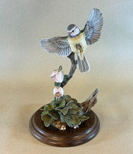 Country Artists Bluetit & Wood