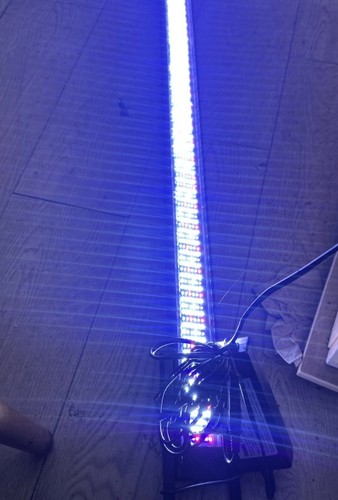 Fluval marine reef led - reef,