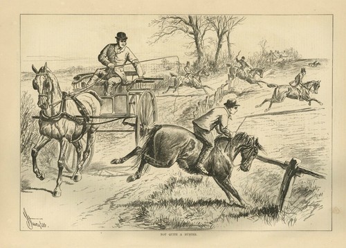 Fox hunting horses jumping - horses,