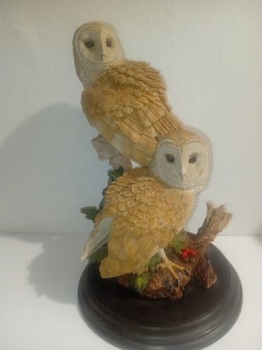 Country artists barn owl - artists,