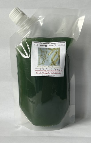Live spirulina platensis - live,