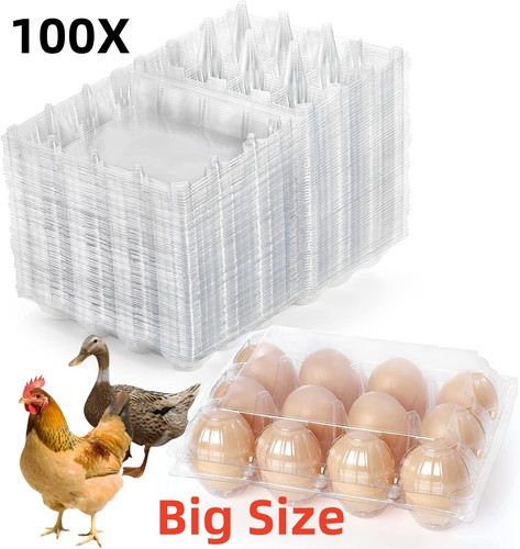 Pack 100 egg - pack, plastic