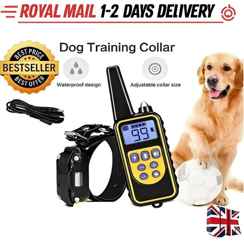 800m electric pet - pet, dog