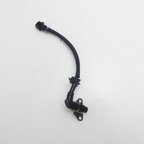 Genuine triumph sprint - genuine, 955i